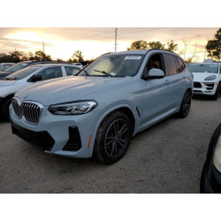 2022 BMW X3 5UX43DP07N9M11984 73616234