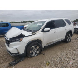 2024 HONDA PILOT 5FNYG1H59RB033730 72619664