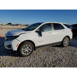 2023 CHEVROLET EQUINOX 3GNAXTEG0PL203076 81556424